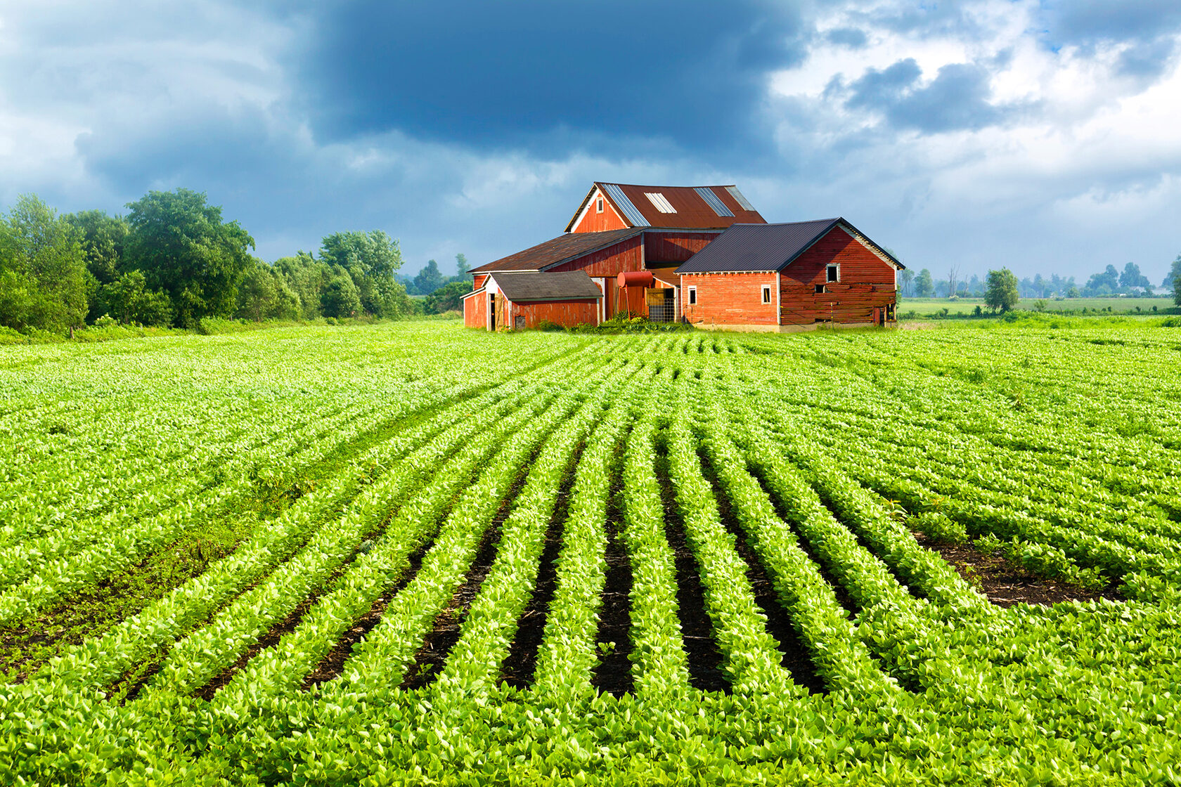 Земли и постройки сельскохозяйственного назначения и в СНТ: законодательство и практика