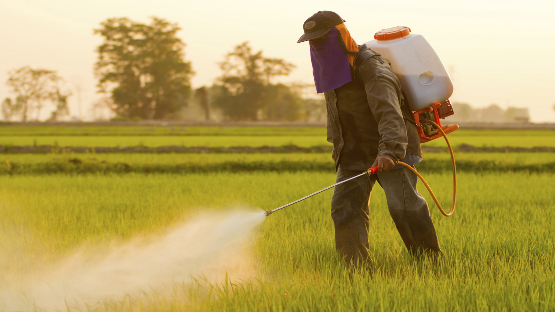 Пестициды и агрохимикаты в 2022 году: практическое использование систем Сатурн, Цербер, Аргус