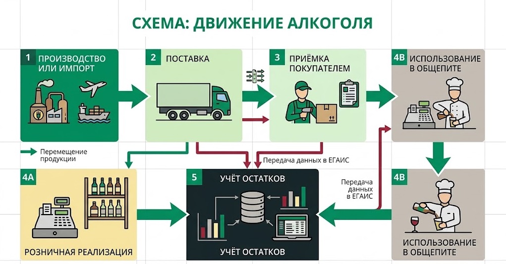 Схема движения алкоголя.jpg